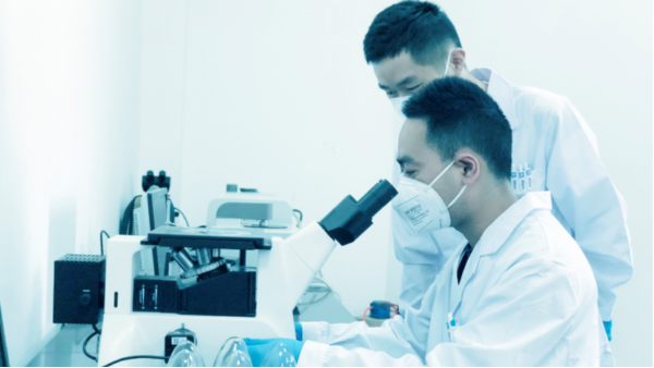 世佳微爾超細(xì)鐵粉是鐵基鐵粉